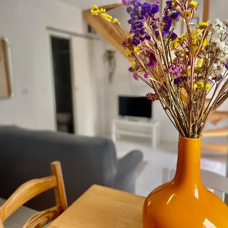 Casinha Da Patricia Apartman *